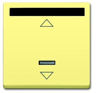 ABB 6020-0-1393 ИК-приёмник с маркировкой для 6953 U, 6411 U, 6411 U/S, 6550 U-10x, 6402 U, серия solo/future, цвет sahara/жёлтый