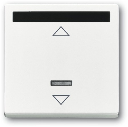 ABB 6020-0-1334 ИК-приёмник с маркировкой для 6953 U, 6411 U, 6411 U/S, 6550 U-10x, 6402 U, серия solo/future, цвет davos/альпийский белый