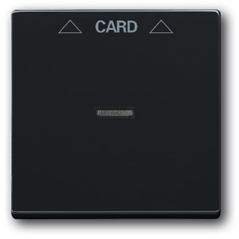 ABB 1710-0-3639 Плата центральная (накладка) для механизма карточного выключателя 2025 U, серия solo/future, цвет антрацит/чёрный