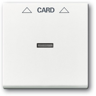 ABB 1710-0-3641 Плата центральная (накладка) для механизма карточного выключателя 2025 U, серия solo/future, цвет davos/альпийский белый