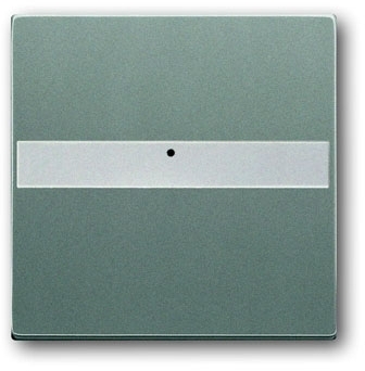 ABB 1731-0-1975 Клавиша с полем для надписи, со световодом, для выключателей/переключателей/кнопок, серия solo/future, цвет meteor/серый металлик