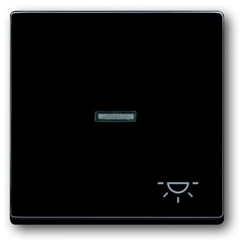 ABB 1751-0-2931 Клавиша для механизма 1-клавишного выключателя/переключателя/кнопки, с прозрачной линзой и символом "СВЕТ", серия solo/future, цвет антрацит