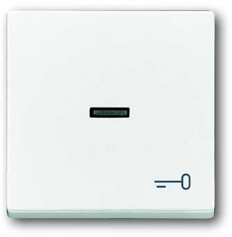 ABB 1751-0-2755 Клавиша для механизма 1-клавишного выключателя/переключателя/кнопки, с прозрачной линзой и символом "КЛЮЧ", серия solo/future, цвет davos/альпийский белый