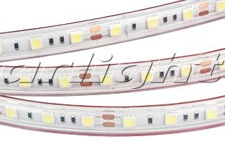 Arlight 022324 Лента RTW 2-5000PS 12V Day White 2x (5060, 300LED, LUX)