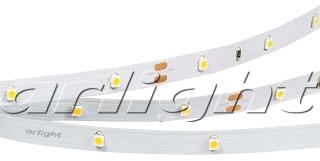 Arlight 024111 Лента RT 2-5000 24V White5500 0.5x (3528, 150 LED, LUX)