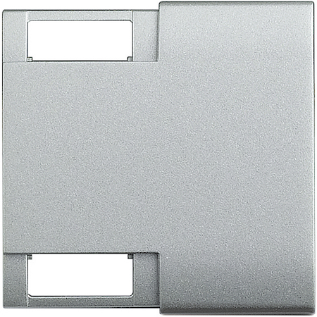 BTicino NT4911M2TN LivingLight Клавиша с 2 отверстиями для вставки символа, размер 2 модуля, цвет алюминий