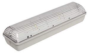 Белый Свет a15945 Автономный аварийный светильник эвакуационного освещения BS-METEOR-53-L1-INEXI2