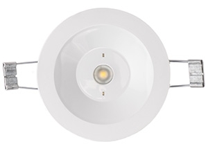 Белый Свет a15326 Аварийный светильник BS-ARUNA-81-L3-INEXI2