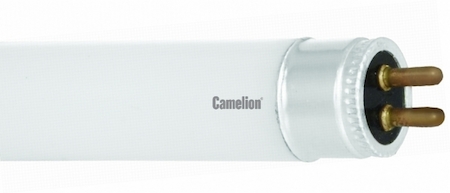 6205 Camelion  FT5-6W/33 Cool light (4200K) (Люм. лампа 6 Ватт)