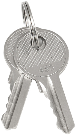 key-2 Ключ для замка (арт. 18-16/38-ip31) EKF PROxima