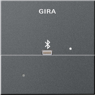 Gira 228728 Адаптер Apple Lightning для вставки док-станции
