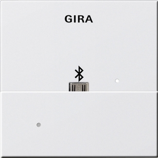 Gira 228503 Адаптер USB Mikro-B для вставки док-станции
