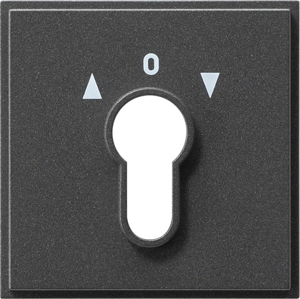 Gira 066467 Накладка выключателя с ключом