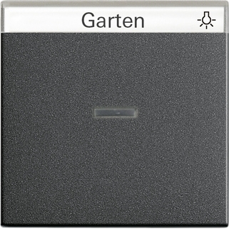 Gira 067028 Одинарная клавиша с полем для надписи и подсветкой