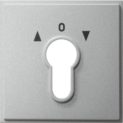 Gira 066465 Накладка выключателя с ключом