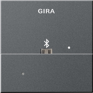 Gira 228528 Адаптер USB Mikro-B для вставки док-станции