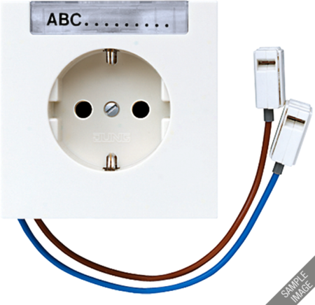 JUNG LS520-OINAOLDW Штепсельная розетка SCHUKO 16A, 250V~ с полем для надписи и подцветкой; оранжевая