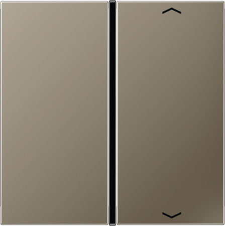 JUNG ES2401TSAP Клавиши для системы KNX, 1-группа; благородная сталь,