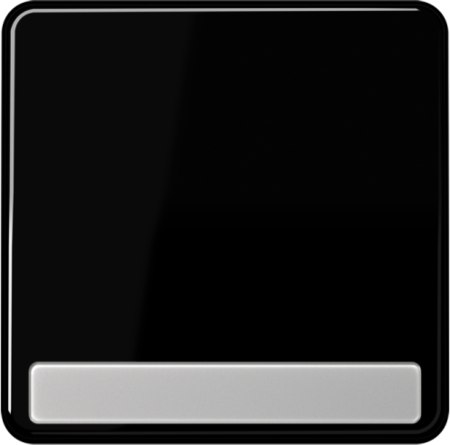 JUNG CD590NASW Клавиша для выключателя с полем для надписи; черная