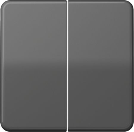 JUNG CD595GR Клавиши для сдвоенных выключателей и кнопок; серые