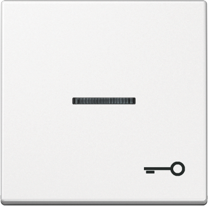 JUNG A590KO5TWW Клавиша для контрольного выключателя со знаком ключ; белый
