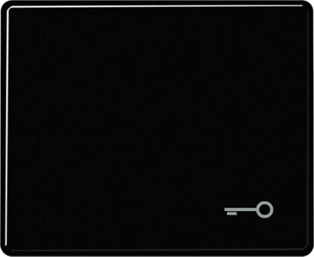 JUNG SL590TSW Клавиша для выключателя с символом "ключ"; черная