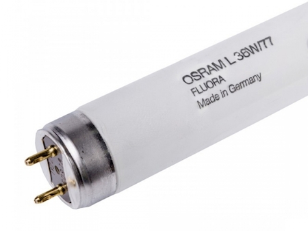 Osram 4050300003184 L 36W/77 10X1                      OSRAM