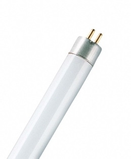 Osram 4050300241623 L 8W/840 25X1                      OSRAM