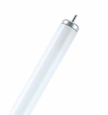 Osram 4050300014630 Трубчатая  лампа BASIC T8 L 20W/640 XL FA6 25X1          OSRAM