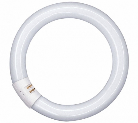 Osram 4050300014845 L 40W/840 C G10Q 12X1              OSRAM