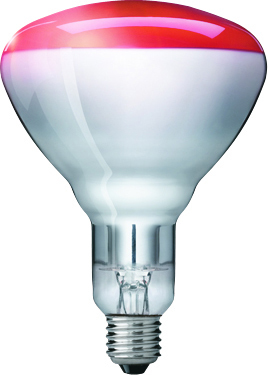 Philips 57521025 InfraRed Industrial Heat Incandescent - IR lamp