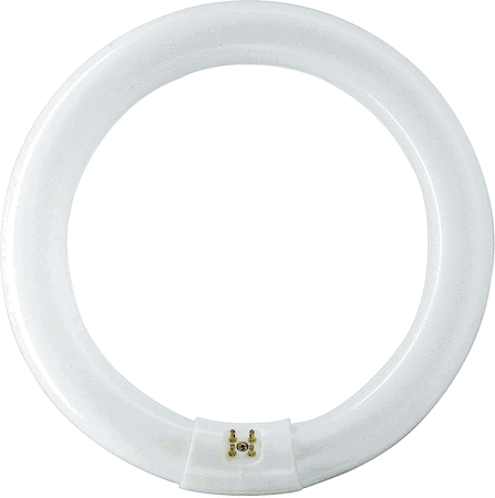 Philips 55956215 TL-E Circular Standard Colours - Fluorescent lamp - Метка энергоэффективности (EEL): B - Коррелированная цветовая температура (ном.): 4100 K