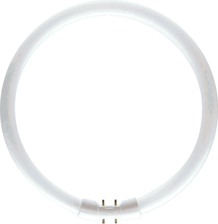 Philips 64259225 MASTER TL5 Circular - Fluorescent lamp - Power: 60 W - Метка энергоэффективности (EEL): A - Коррелированная цветовая температура (ном.): 3000 K