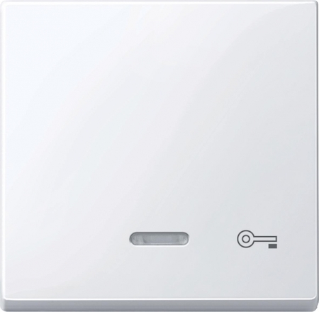 Schneider Electric MTN435325 MERTEN КЛАВИША с окошком д/свет.индикации и пиктогр"ключ", АКТИВНЫЙ БЕЛЫЙ, SM