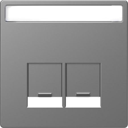 Schneider Electric MTN4574-6036 MERTEN D-Life ЦЕНТР. НАКЛАДКА д/2-х мод. разъемов SE, с пол. д/надп. НЕРЖ. СТАЛЬ