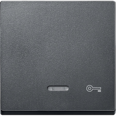 Schneider Electric MTN430714 MERTEN КЛАВИША с окошком д/свет.индикации и пиктогр"ключ", АНТРАЦИТ, SM