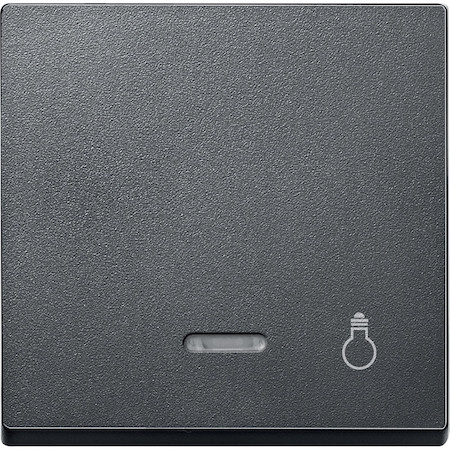 Schneider Electric MTN430914 MERTEN КЛАВИША с окошком д/свет.индикации и пиктогр"свет", АНТРАЦИТ, SM