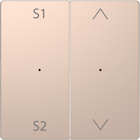 Schneider Electric MTN5227-6051 MERTEN D-Life PlusLink КЛАВИША 2-ная с S1/S2, вх/вз, ШАМПАНЬ, SD