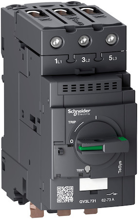 Schneider Electric GV3L731 АВТОМАТИЧЕСКИЙ ВЫКЛЮЧАТЕЛЬ С МАГНИТНЫМ РАСЦЕПИТЕЛЕМ 73А С 1 БЛОКОМ EVERLINK