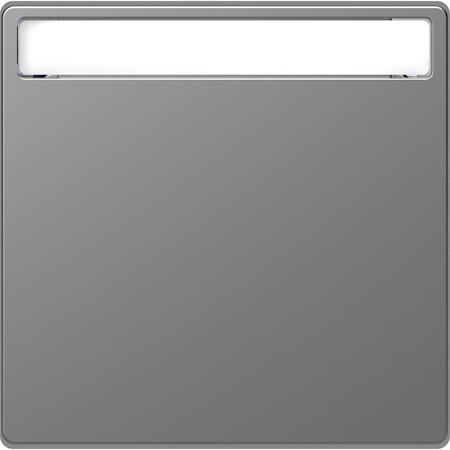 Schneider Electric MTN3360-6036 MERTEN D-Life КЛАВИША 1-ная с полем д/надписи, НЕРЖ. СТАЛЬ