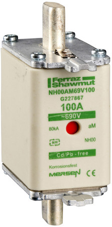 Schneider Electric DF2FGA100 ПРЕДОХРАНИТЕЛЬ ТИП АМ,РАЗМЕР 00.100А