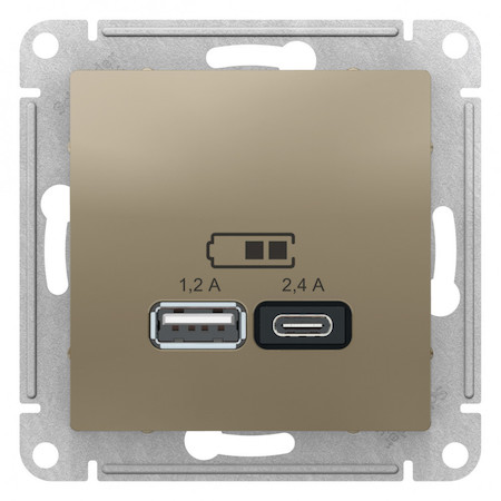 Schneider Electric ATN000539 USB РОЗЕТКА A+С, мех, ШАМПАНЬ