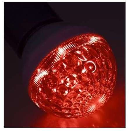 Лампа светодиодная d-50 10LED 1Вт шар E27 24В красн. Neon-Night 405-612