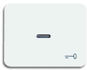 Клавиша для механизма 1-клавишного выключателя/переключателя/кнопки, с прозрачной линзой и символом "КЛЮЧ", серия alpha nea, цвет белый глянцевый