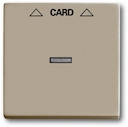 Плата центральная (накладка) для механизма карточного выключателя 2025 U, серия Basic 55, цвет шампань