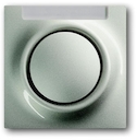 Клавиша для механизмов 1-клавишных выключателей/переключателей/кнопок, с полем для надписи, серия impuls, цвет шампань-металлик
