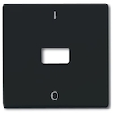 Клавиша для механизма 1-клавишного выключателя/переключателя/кнопки, с окном для линзы, с маркировкой "I/O" (IP44), серия Allwetter 44, цвет антрацит