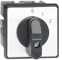 Cam switch. Multistep switches . Normal, door mounted