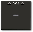 Плата центральная (накладка) для механизма карточного выключателя 2025 U, серия Basic 55, цвет château-black