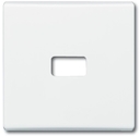 Клавиша для механизма 1-клавишного выключателя/переключателя/кнопки, с окном для линзы/символа, IP44, серия Allwetter 44, цвет альпийский белый
